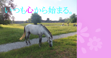 心のこもったサービスでおくつろぎください。